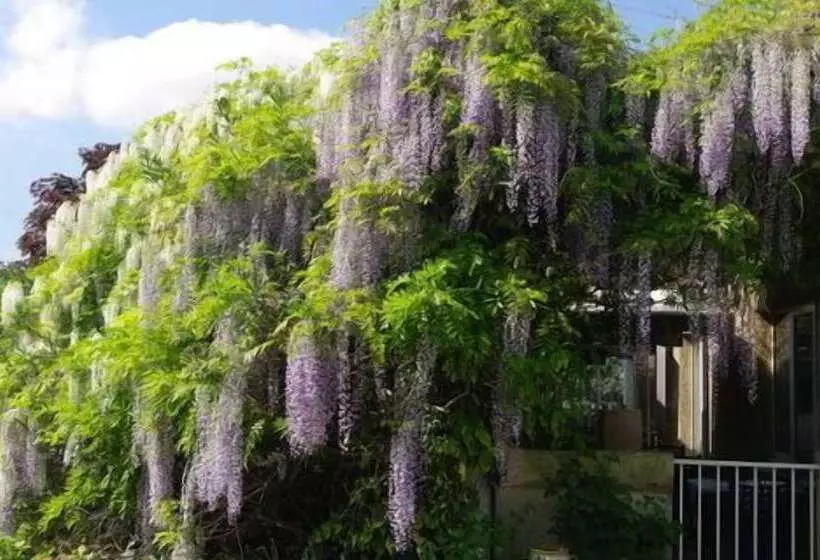 هتل Du Moulin à Vent Gerland