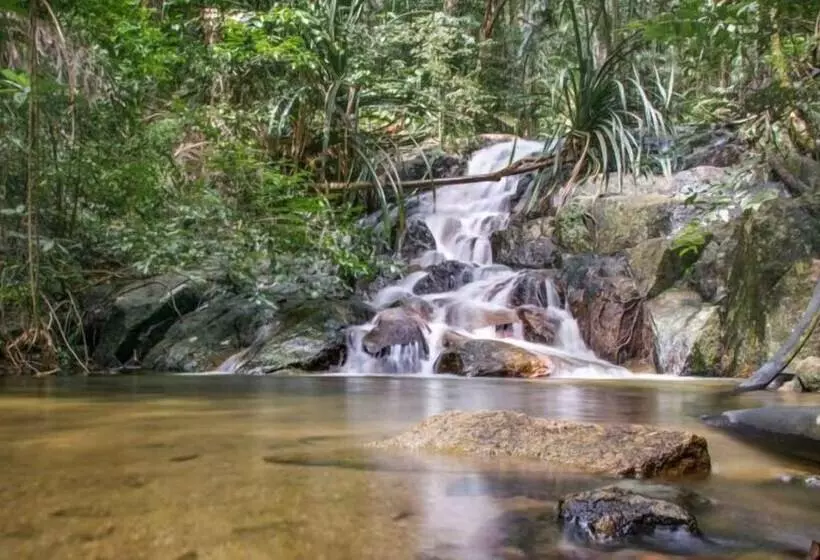 ホテル Lipe Banyan Apartments