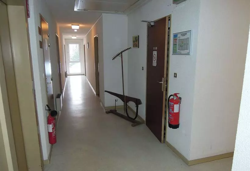 Grands Chenes Du Parc