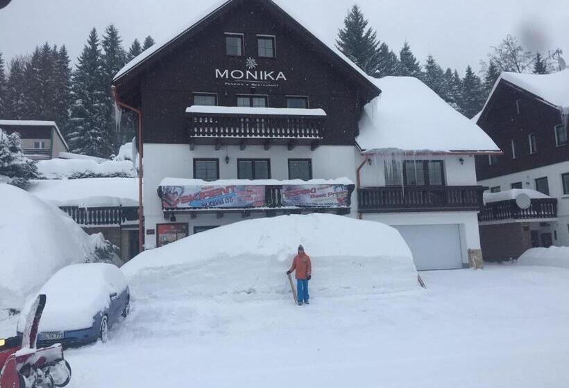 Pension And Apartments Monika