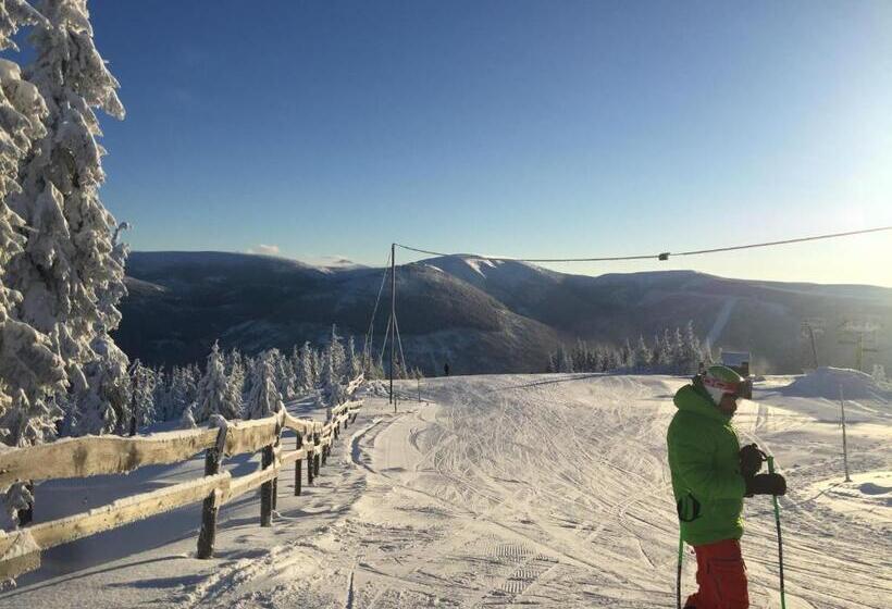 Pension And Apartments Monika