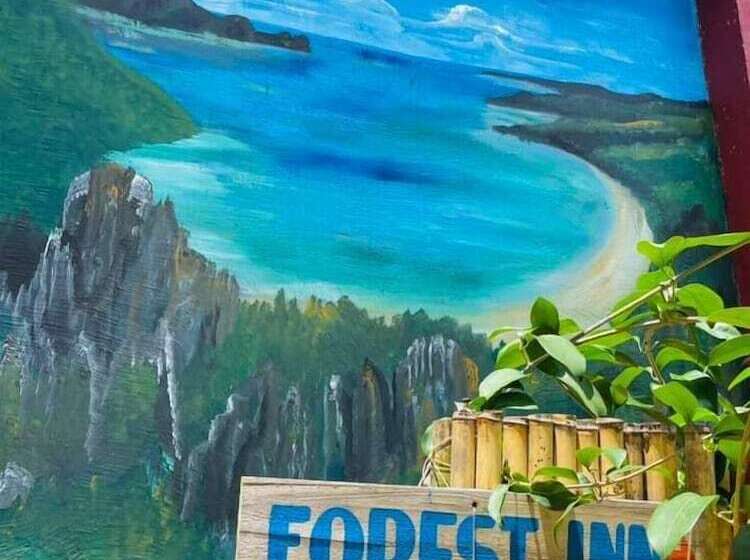 Aamiaismajoitus (B&B) Forest Camp El Nido