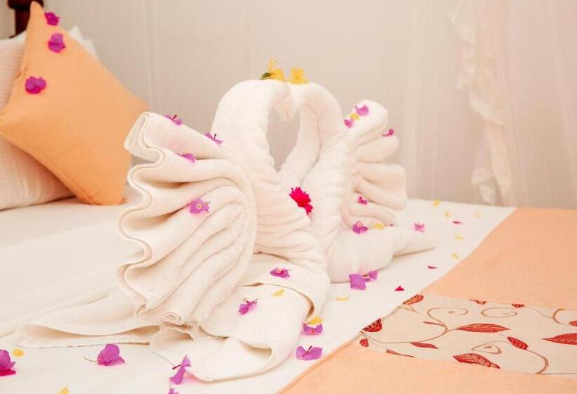 호텔 Pearl Mirissa