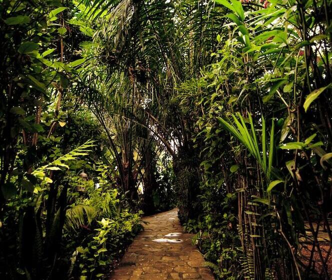 ホテル Hôtel Clos Des Limbas