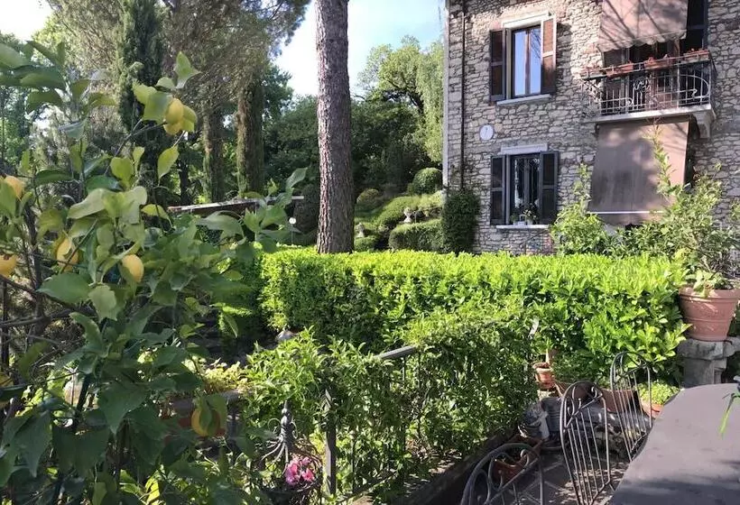 B&b Il Pioppo Antico