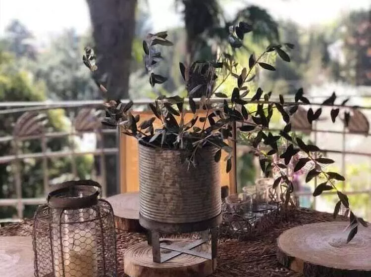 B&b Il Pioppo Antico