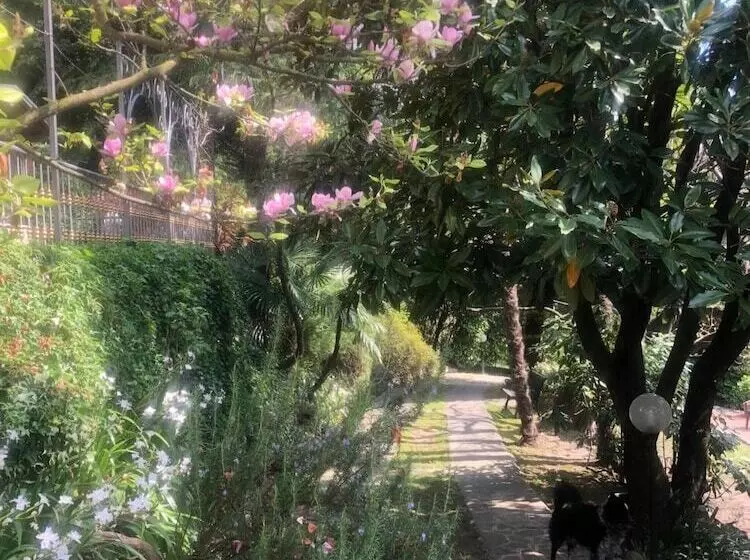 B&b Il Pioppo Antico