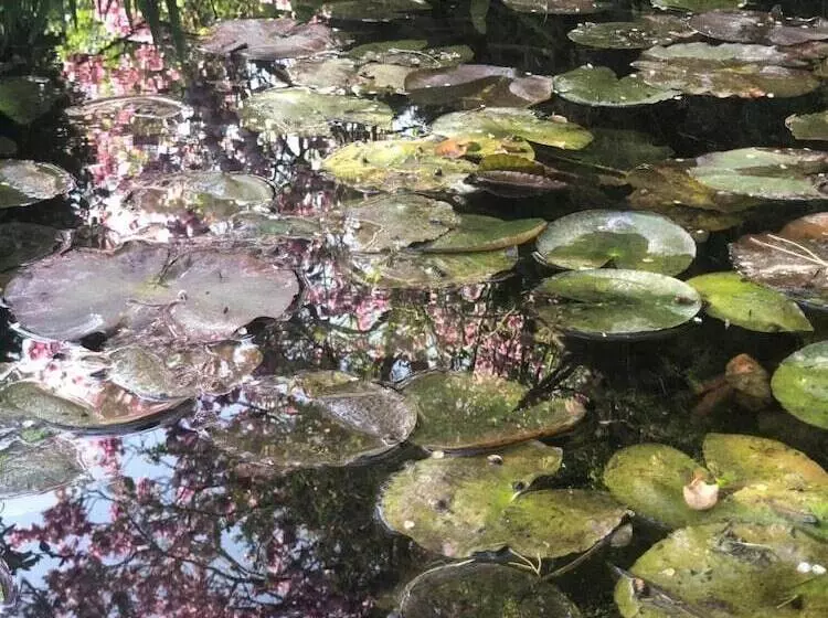 B&b Il Pioppo Antico