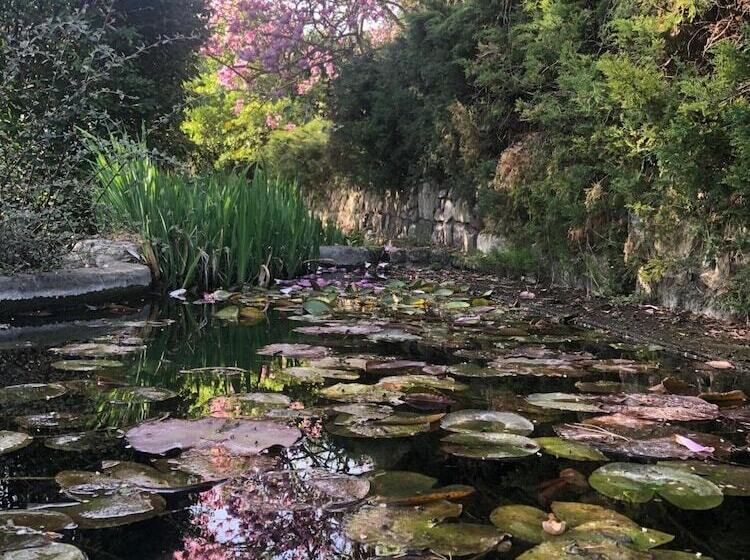 B&b Il Pioppo Antico