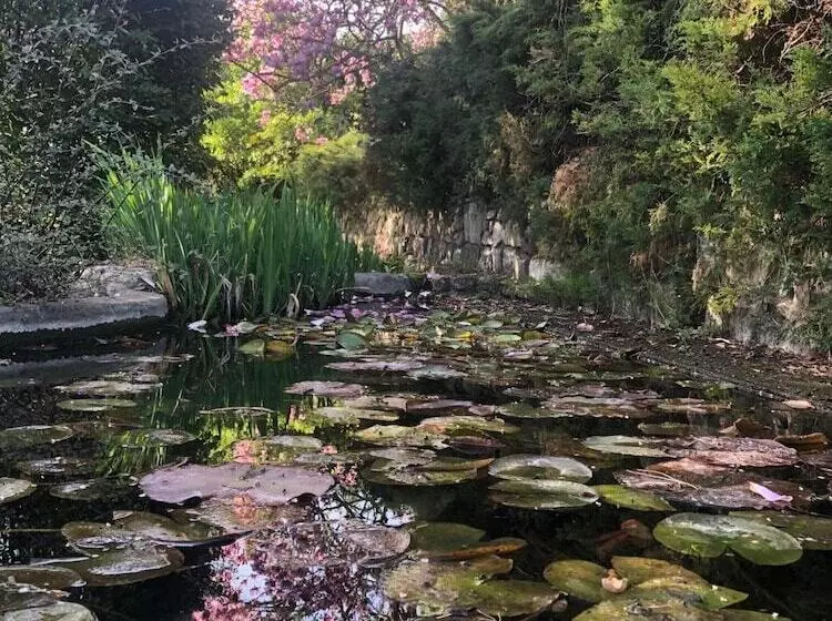 B&b Il Pioppo Antico