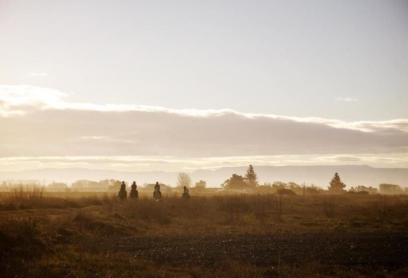 旅馆 Stables Lodge Backpackers