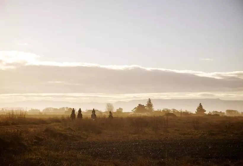 هاستل Stables Lodge Backpackers