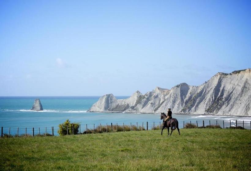 旅馆 Stables Lodge Backpackers