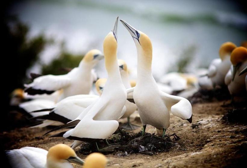 فندق صغير Stables Lodge Backpackers