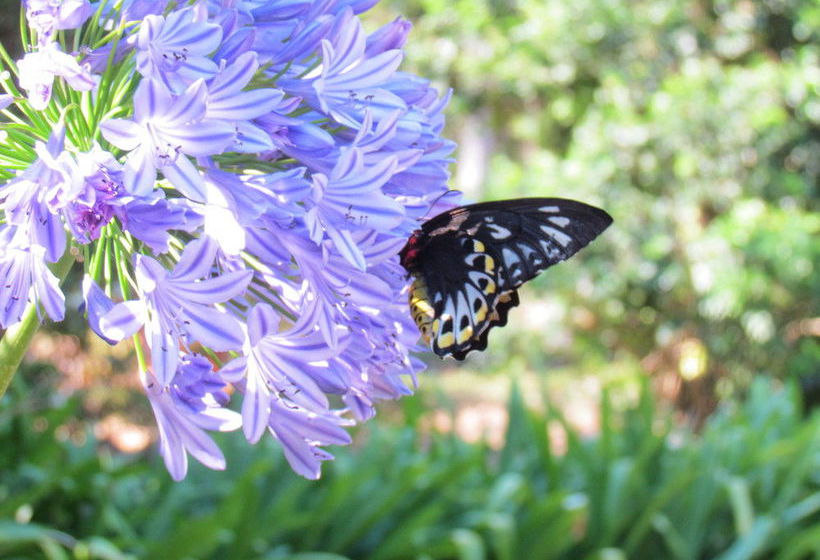 Amytis Gardens Retreat & Day Spa