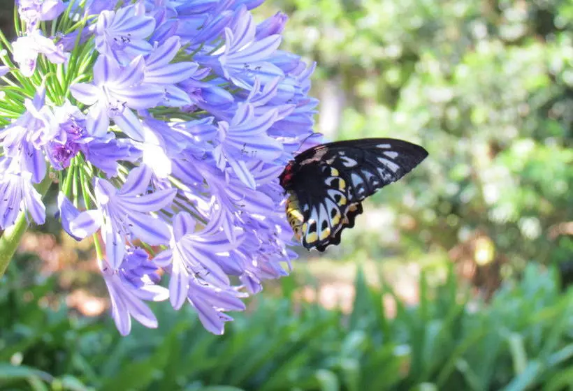 Amytis Gardens Retreat & Day Spa