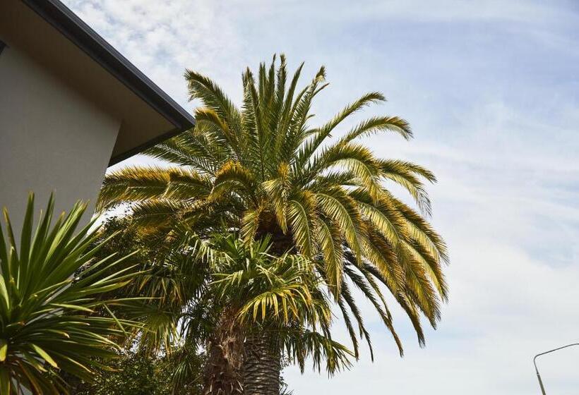 Blenheim Palms Motel