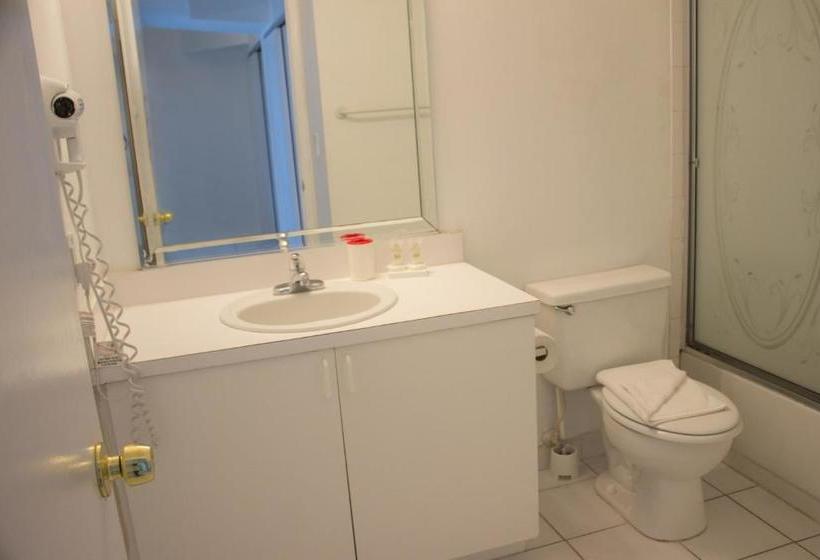 Collins Apartments By Design Suites Miami