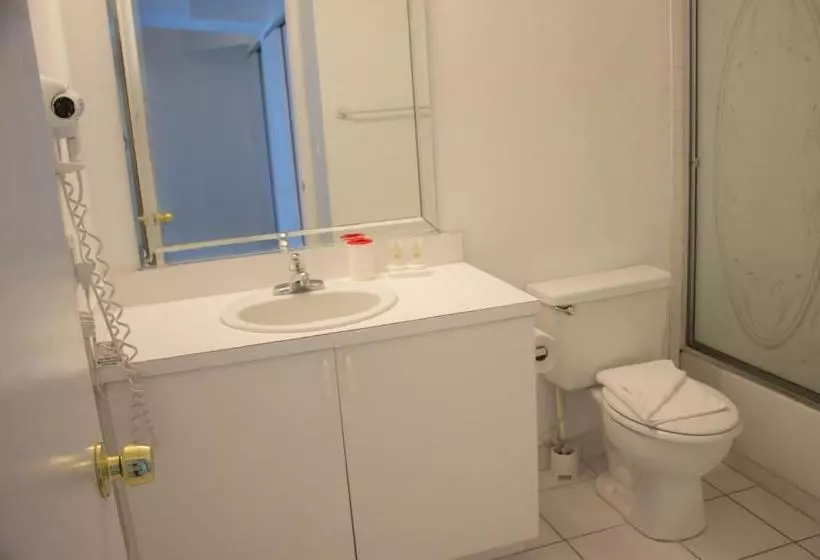 Collins Apartments By Design Suites Miami