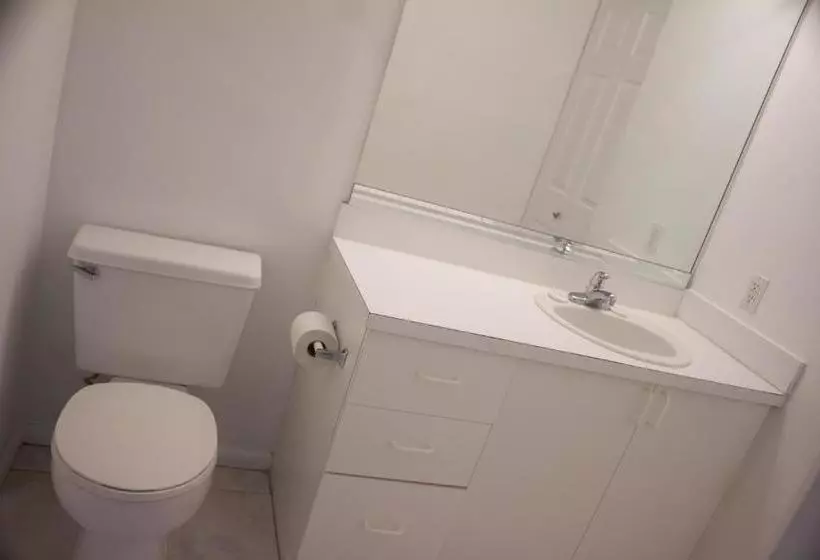 Collins Apartments By Design Suites Miami