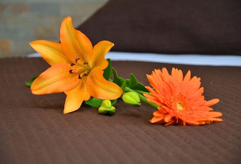 Hostel & Suites Del Rio