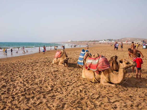 فندق Al Alba Hammam & Restaurant