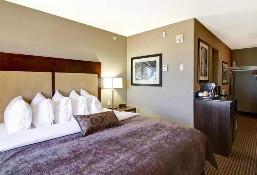 Canalta Hotel Assiniboia