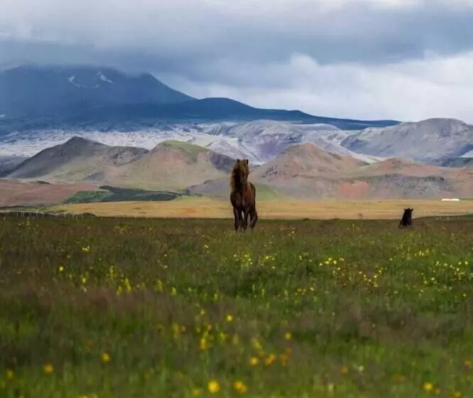 هتل Hótel Leirubakki