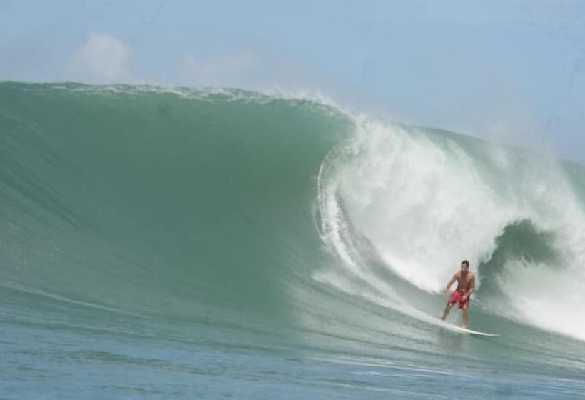 Marinaview Apartments