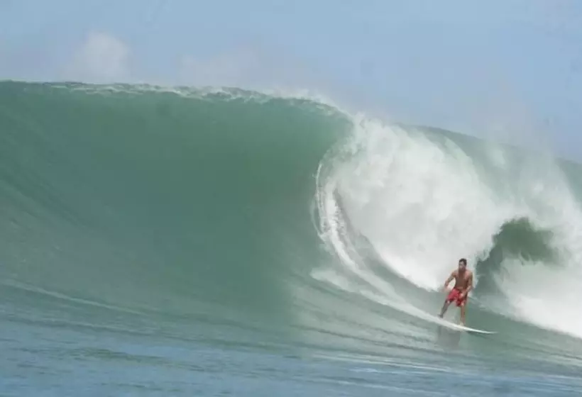 Marinaview Apartments