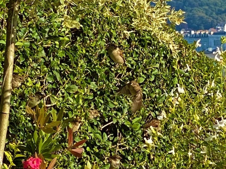 膳宿费 The View Guest House