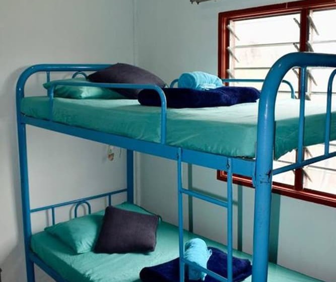 هاستل Indiana Cafe And Beds