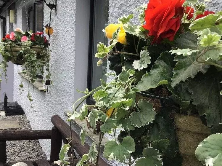 Bed and Breakfast Mere Lodge