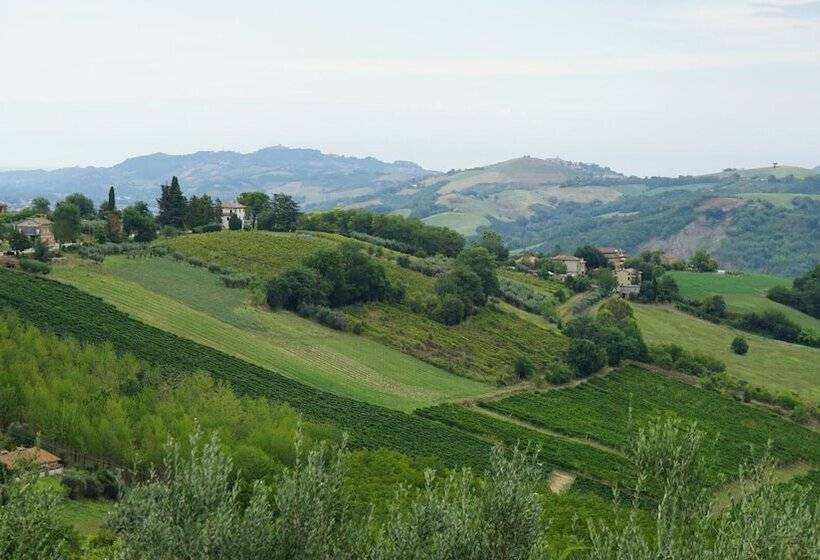 Glamping At An Agriturismo In The Vineyard