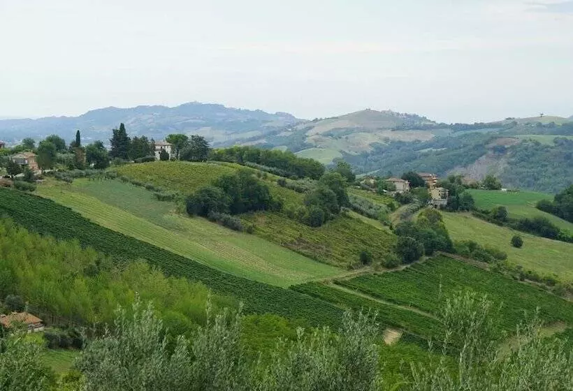 Glamping At An Agriturismo In The Vineyard