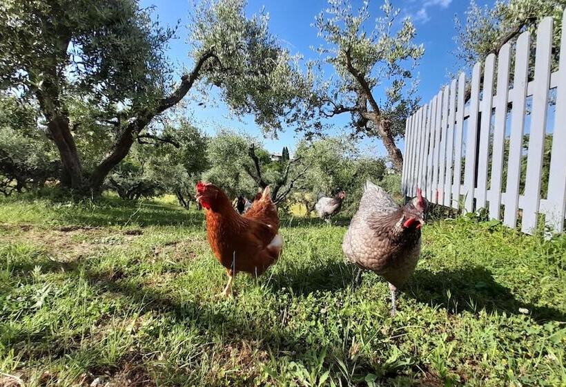 Glamping At An Agriturismo In The Vineyard