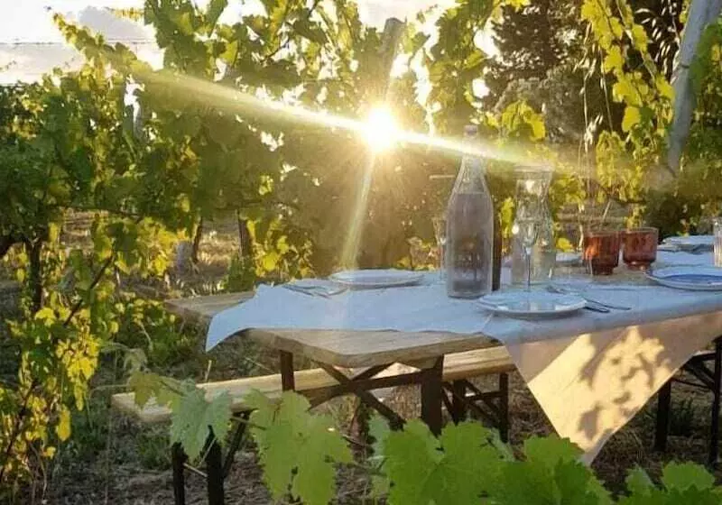 Glamping At An Agriturismo In The Vineyard