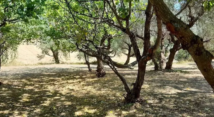 Glamping At An Agriturismo In The Vineyard