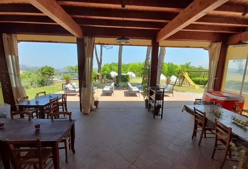 Glamping At An Agriturismo In The Vineyard