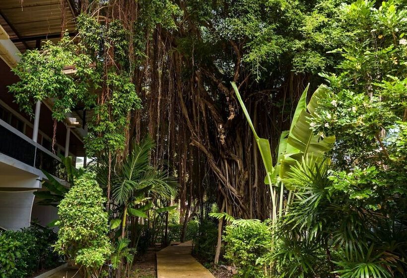 فندق 4u Resort Samui