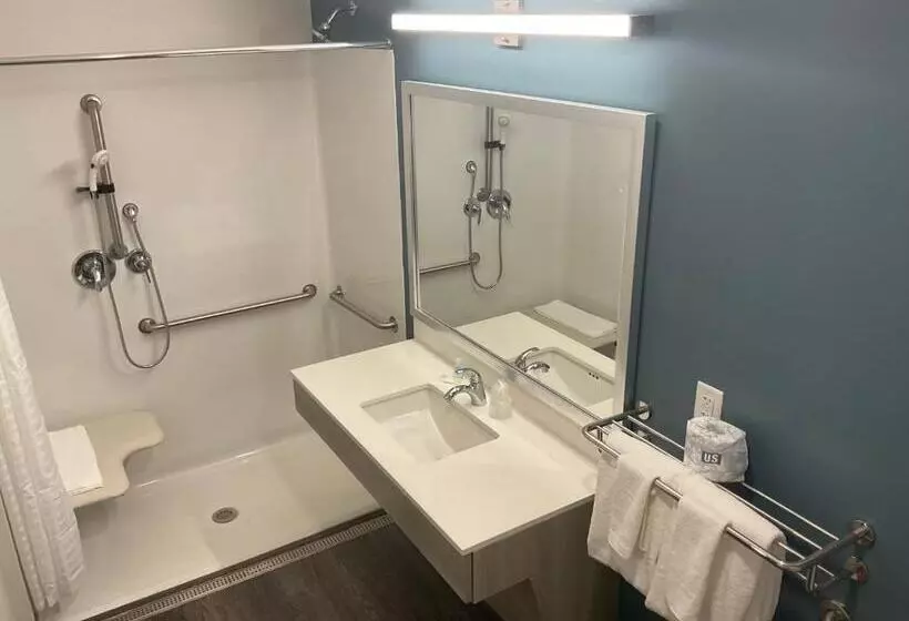 ホテル Woodspring Suites Hermitage   Nashville Airport