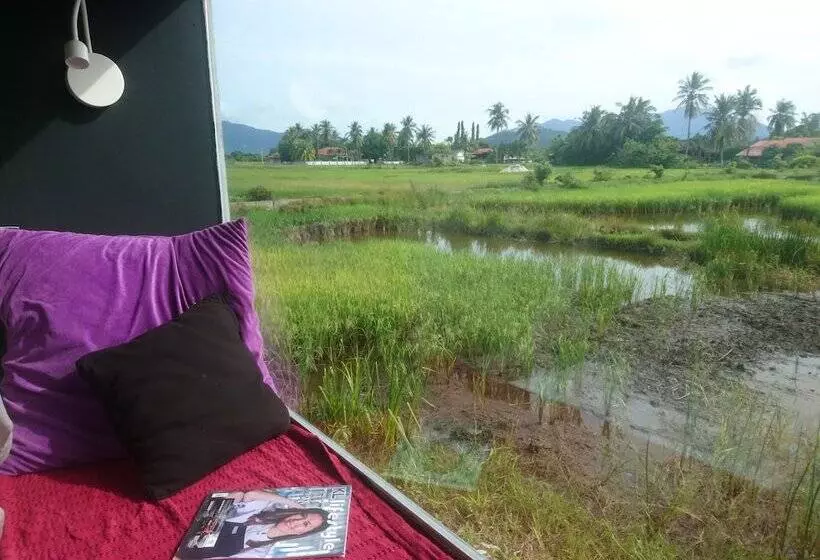 پانسیون District Eight