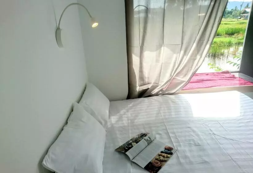 پانسیون District Eight