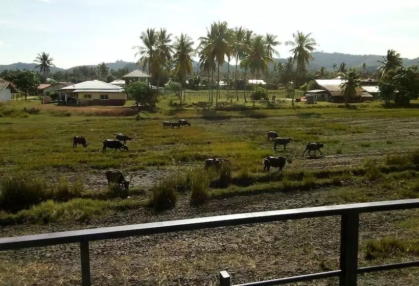 پانسیون District Eight