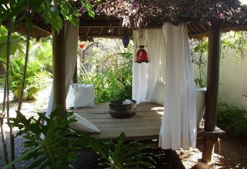 پانسیون Mikuzi