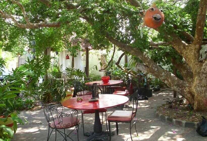 پانسیون Mikuzi