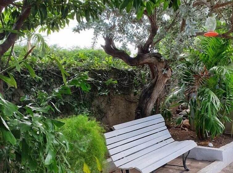 پانسیون Mikuzi