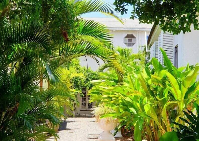 پانسیون Mikuzi