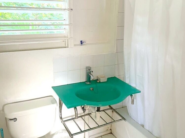 پانسیون Mikuzi