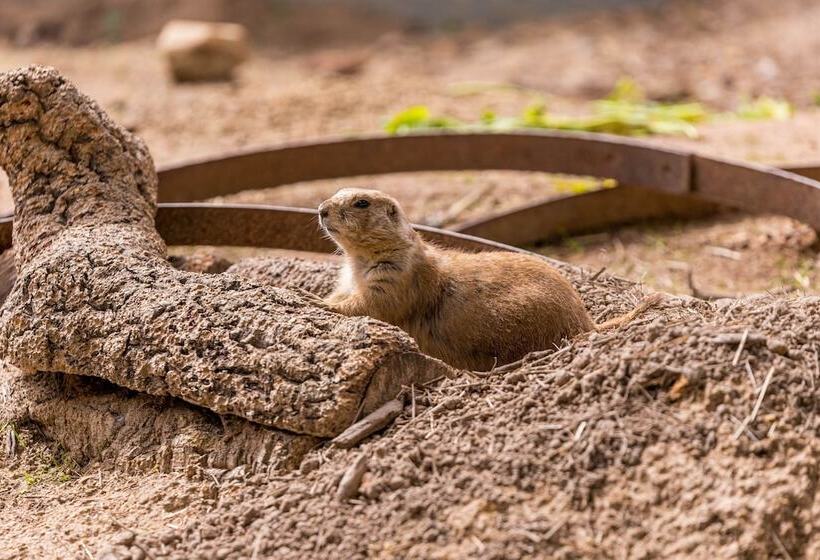 منتجع Natura Fun House & Camping